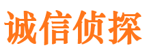 桃江市私家侦探公司